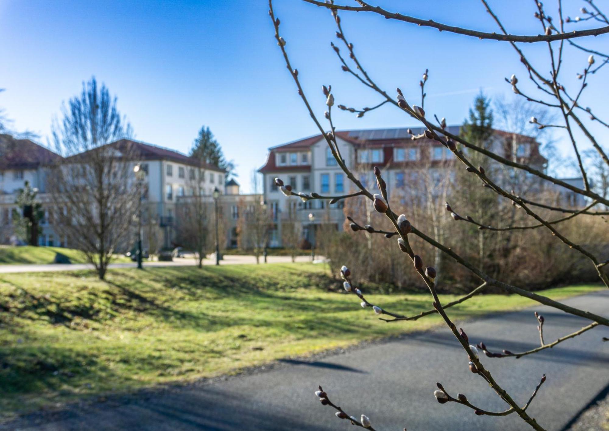 Naturresort & Spa Schindelbruch Stolberg  Bagian luar foto